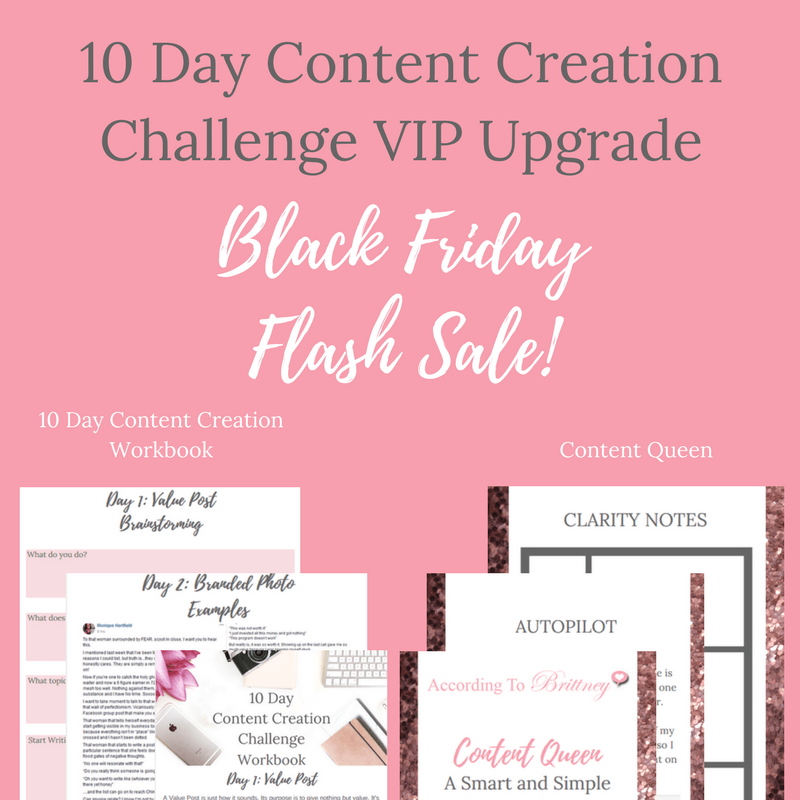 slay your goals planner black friday