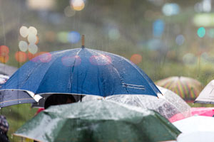 Umbrella