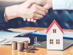 Financial & Insurance