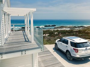 avis and budget auto rentals