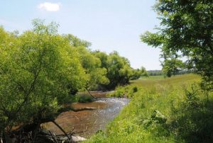 Stream-buffer-web