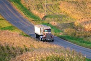 Rural Roads, Infrastructure, and Agricultural Mobility